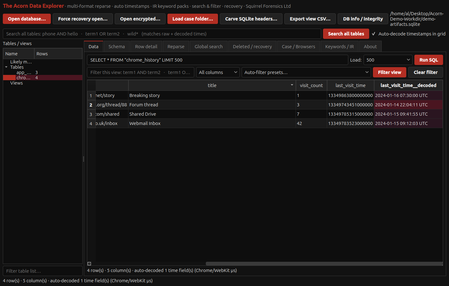 Acorn Data Explorer showing automatically decoded timestamp values beside source data.
